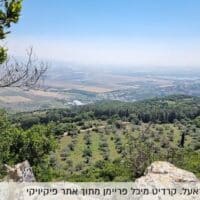 "ותשקוט הארץ ארבעים שנה"