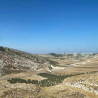 קרדיט צילום: אפרת קורן