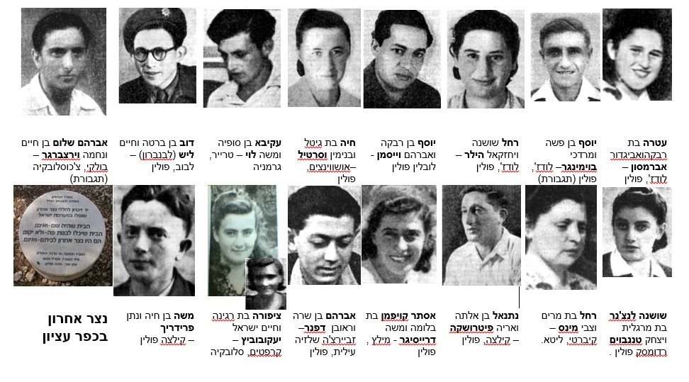 נופלי נצר אחרון