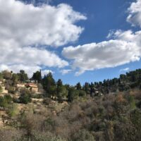 מהר טייסים לצומת כרם