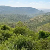 טיול עשירי: ההר הירוק כל ימות השנה