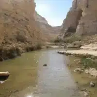 קרדיט צילום ניסים ארגמן
