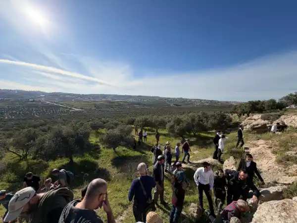 קרדיט מעין טל