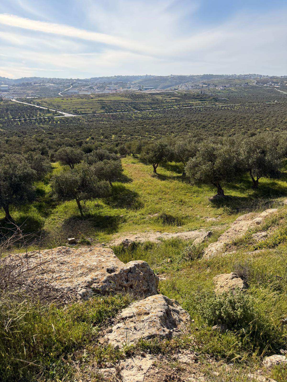 קרדיט צילום מעין טל