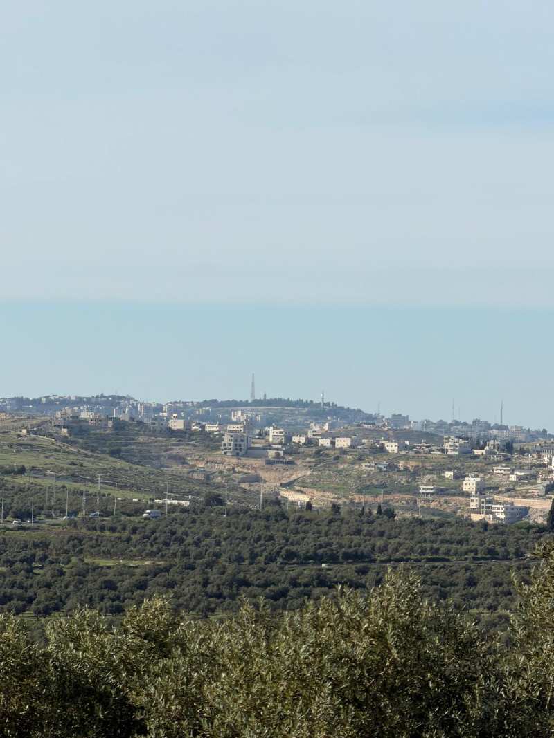 קרדיט מעין טל2